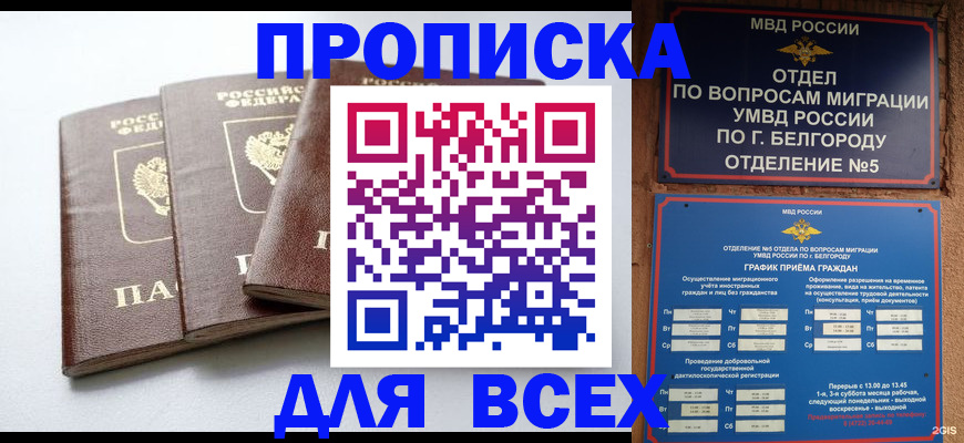 прописка в Кирсе
